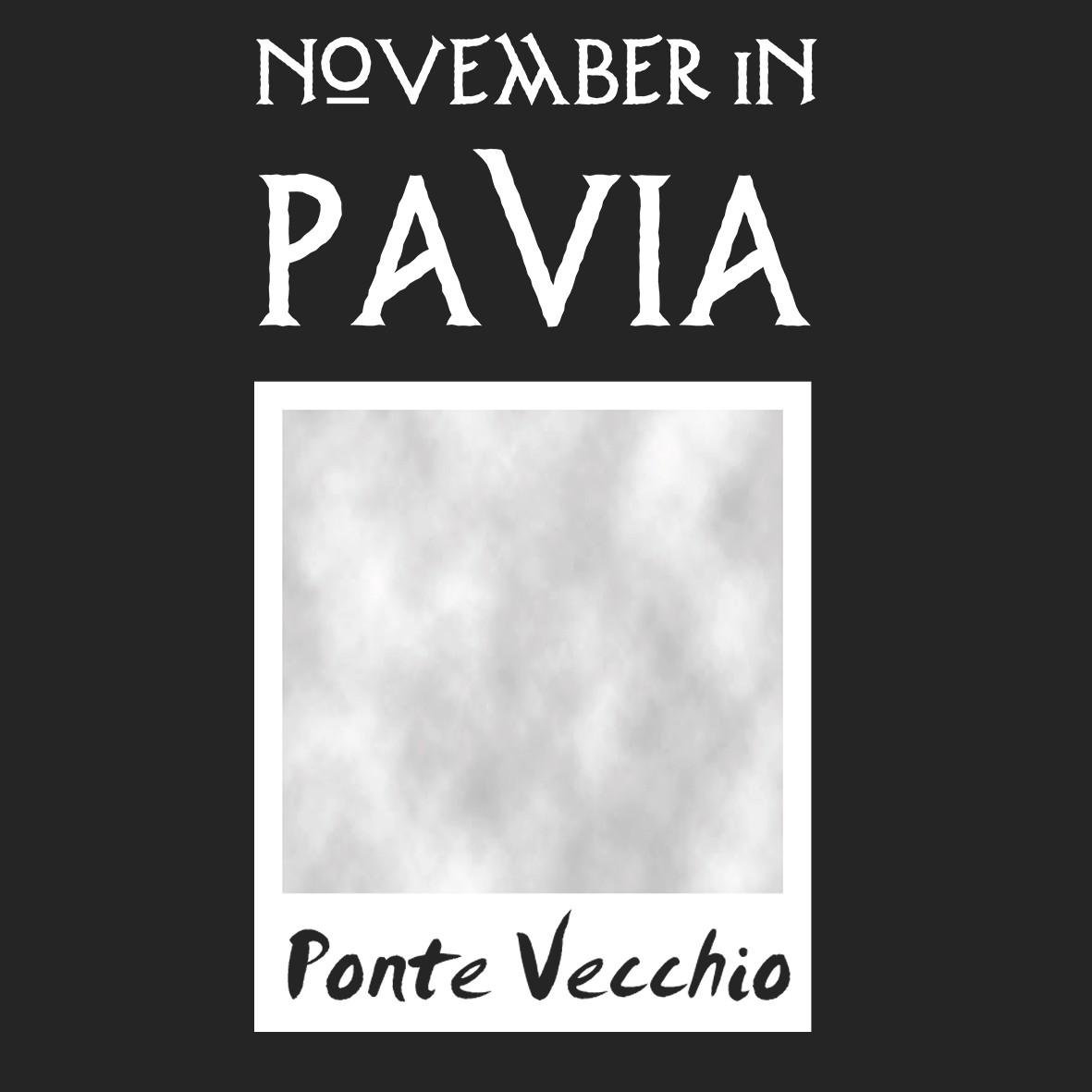Matrix Music Store Pavia November in PV maglietta cotone