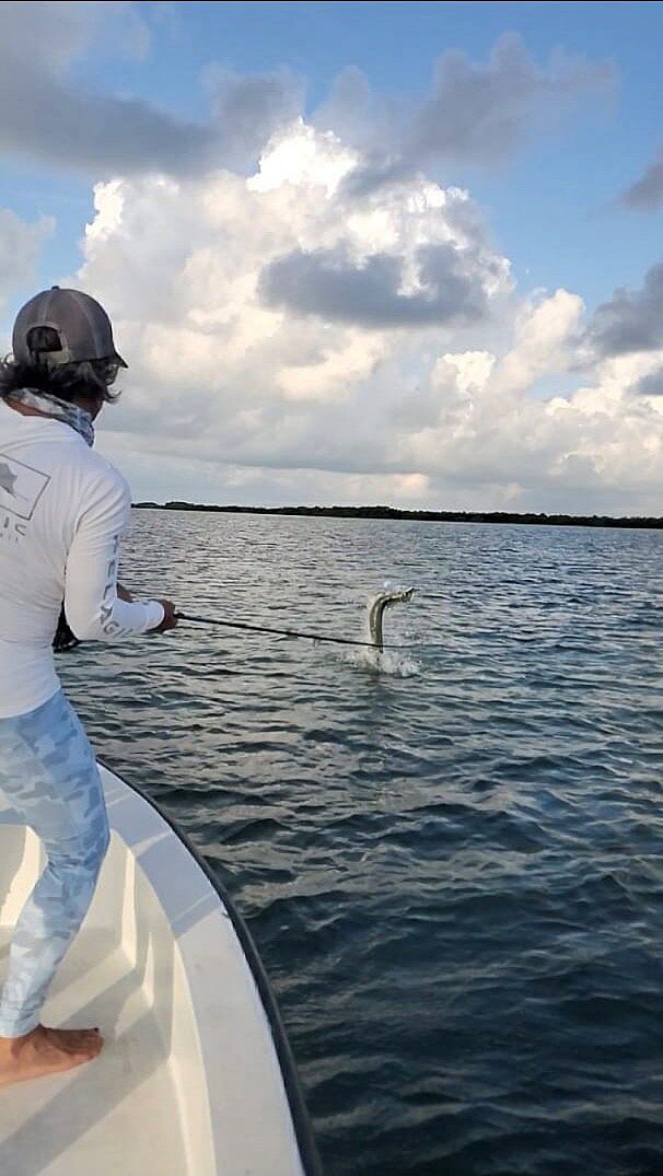 Pelagic Fiji leggings donna pesca grigio con tasca