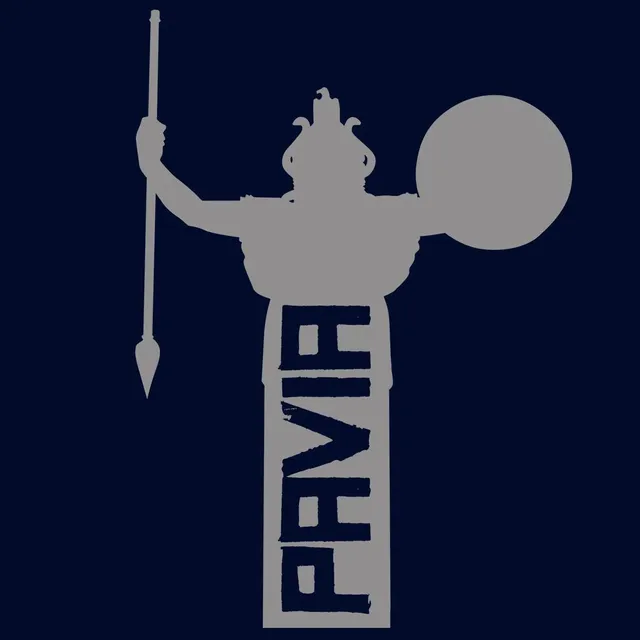 Matrix Pavia Minerva Grey Logo t-shirt grigia stampa digitale