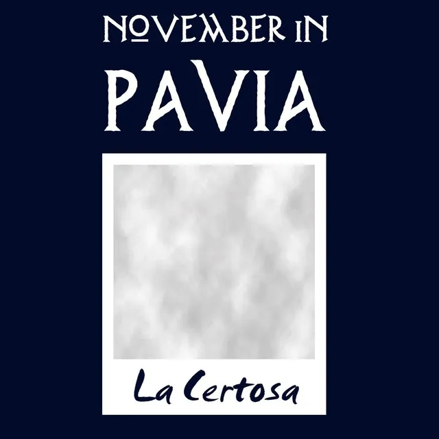 Matrix Music Store Pavia November in PV Certosa maglietta unisex cotone