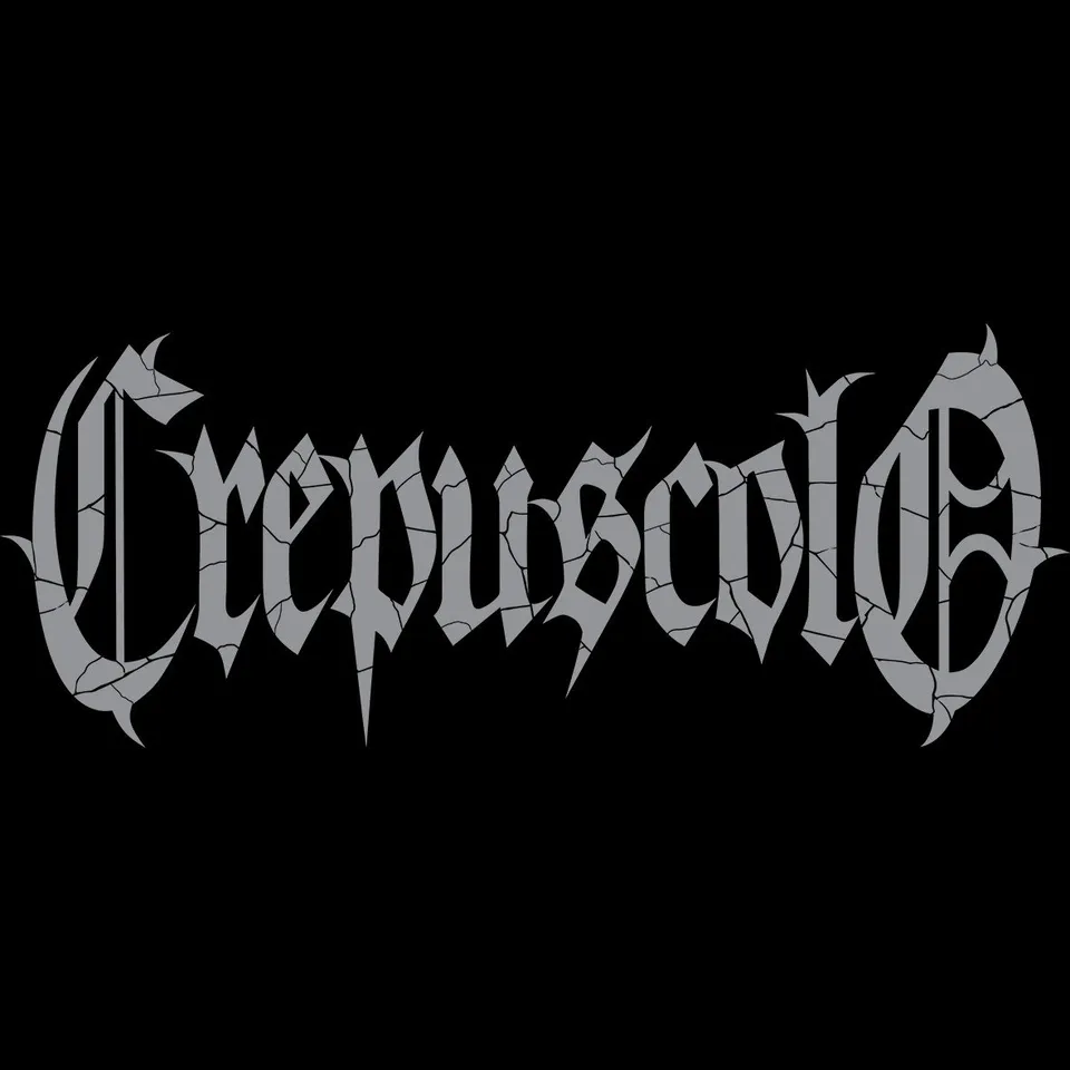 Matrix Music Store Crepuscolo maglietta cotone organico logo grigio