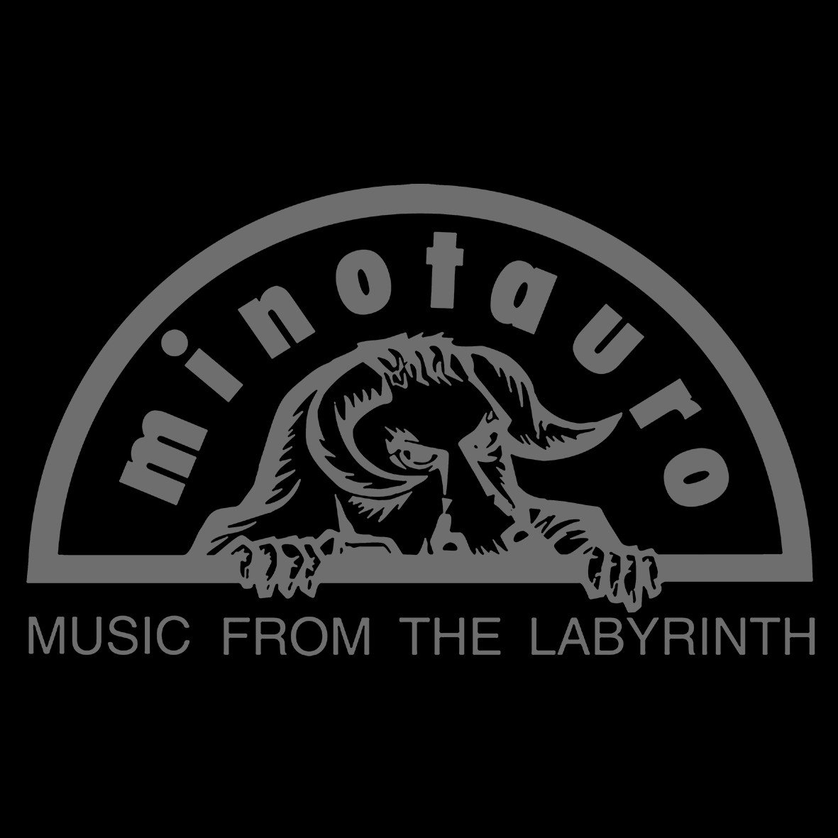 Matrix Minotauro Grey Logo maglietta cotone organico