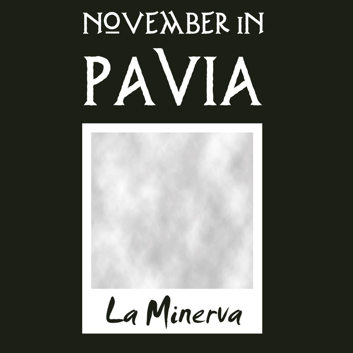 Pavia November in PV Minerva maglietta cotone