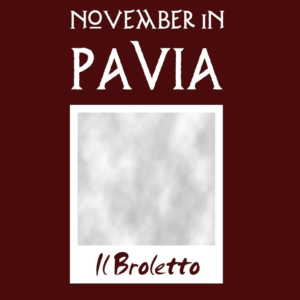 Matrix Music Store Pavia November In Pv Broletto t-shirt unisex cotone
