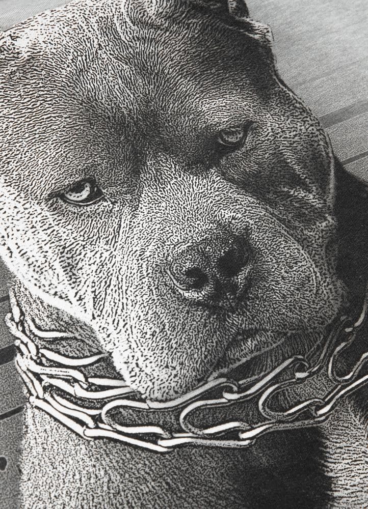 Pit Bull West Coast Mugshot felpa uomo cotone girocollo