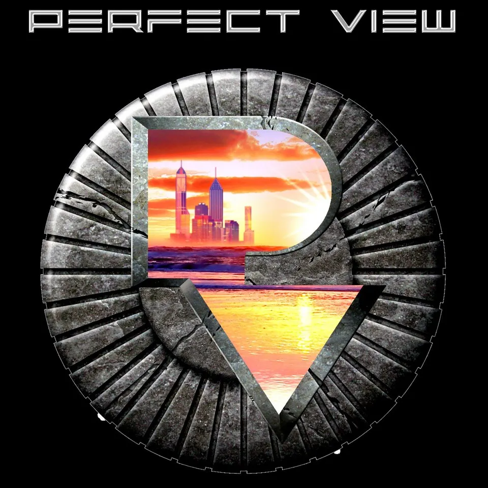 Matrix Music Store Tee-Records Perfect View Hold You t-shirt cotone
