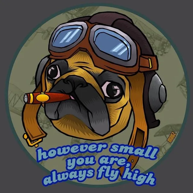 Maoz Pug Aviator t-shirt unisex
