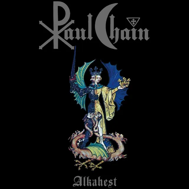 Matrix Music Store Chain Paul Alkahest Silver Logo t-shirt cotone