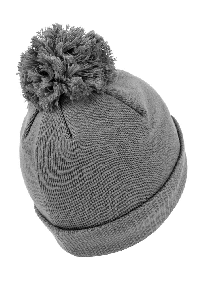 Pit Bull West Coast Bubble Small Logo berretto grigio invernale