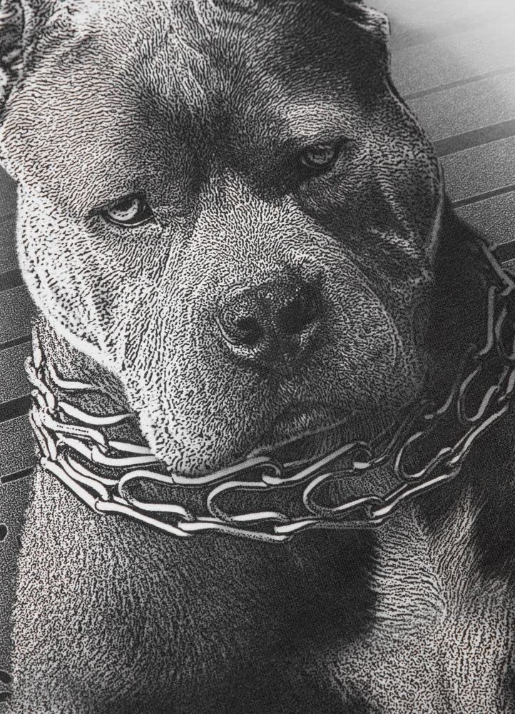 Pit Bull West Coast Mugshot II maglietta uomo