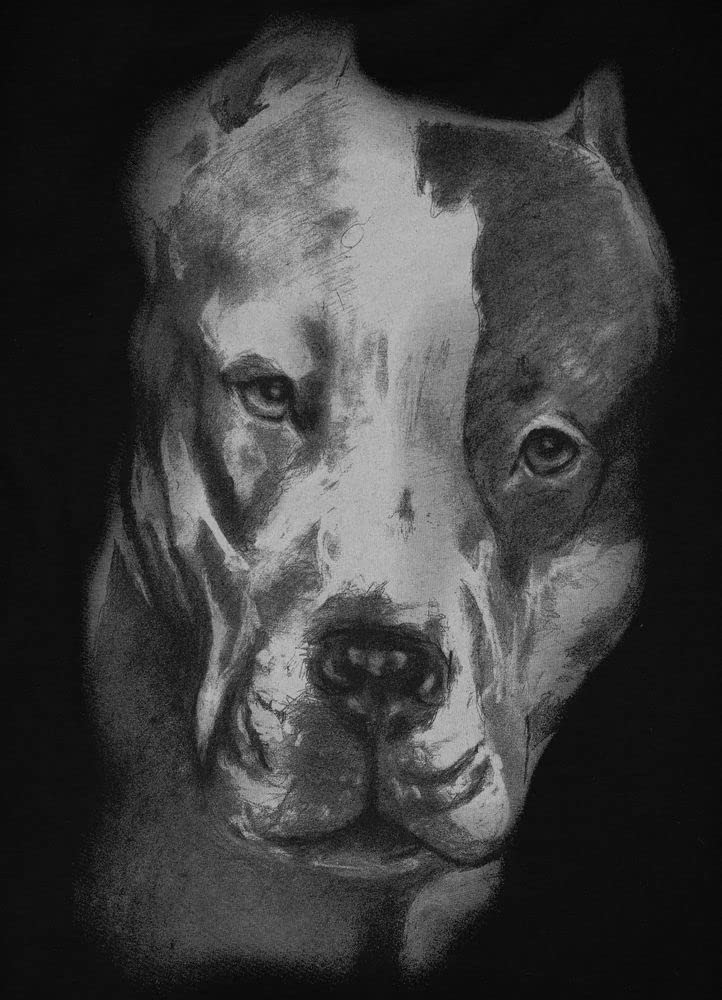 Pit Bull West Coast San Diego II maglietta donna cotone