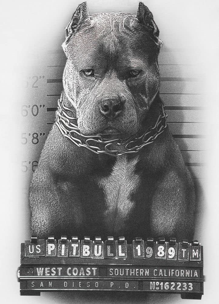 Pit Bull West Coast Mugshot II maglietta uomo