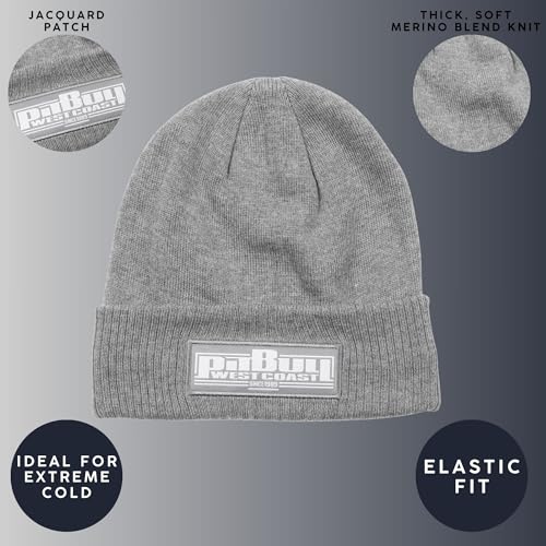 Pitbull One Tone Boxing Berretto Invernale Grigio