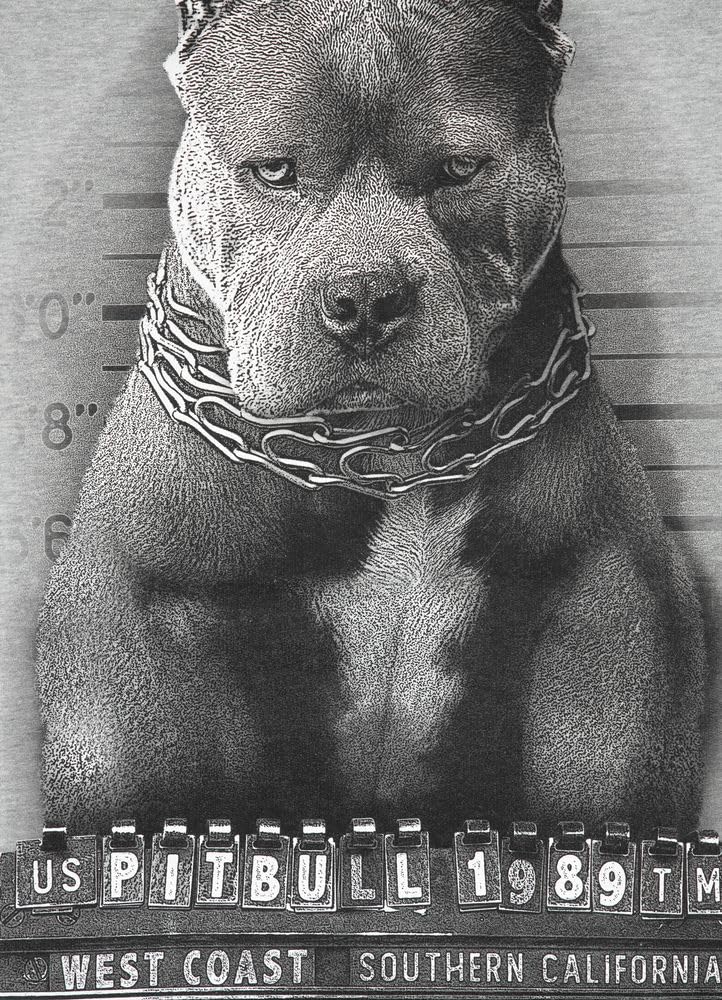 Pit Bull West Coast Mugshot felpa uomo cotone girocollo