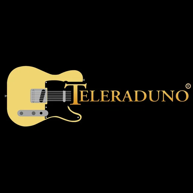 Matrix Music Store Tee Records Teleraduno Telecaster t-shirt cotone