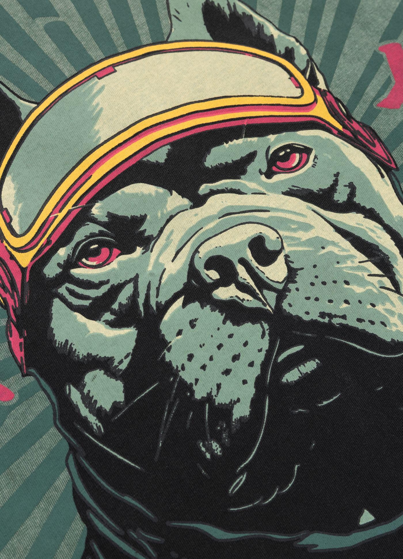 Pitbull Mt. Fuji maglietta uomo cotone stampa retro