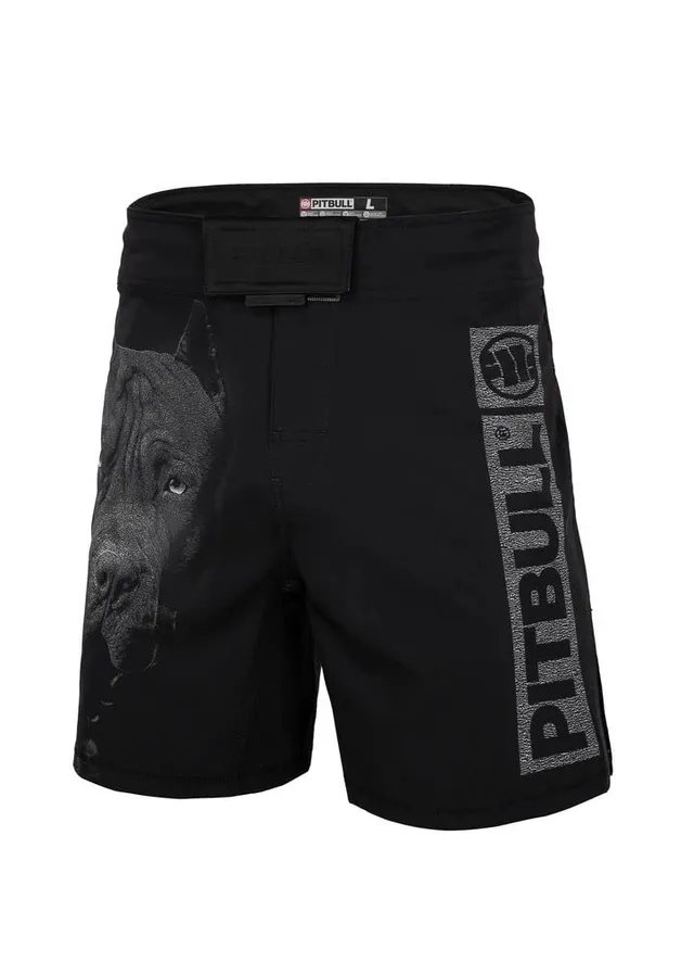 Pitbull Born in 1989 pantaloncini allenamento cotone