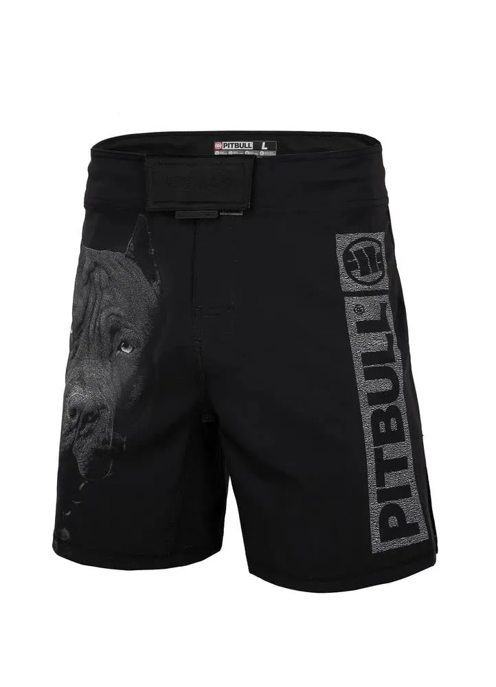 Pitbull Born in 1989 pantaloncini allenamento cotone