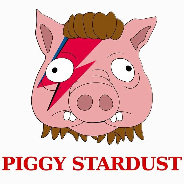 Matrix Tribe Piggy Stardust t-shirt cotone unisex