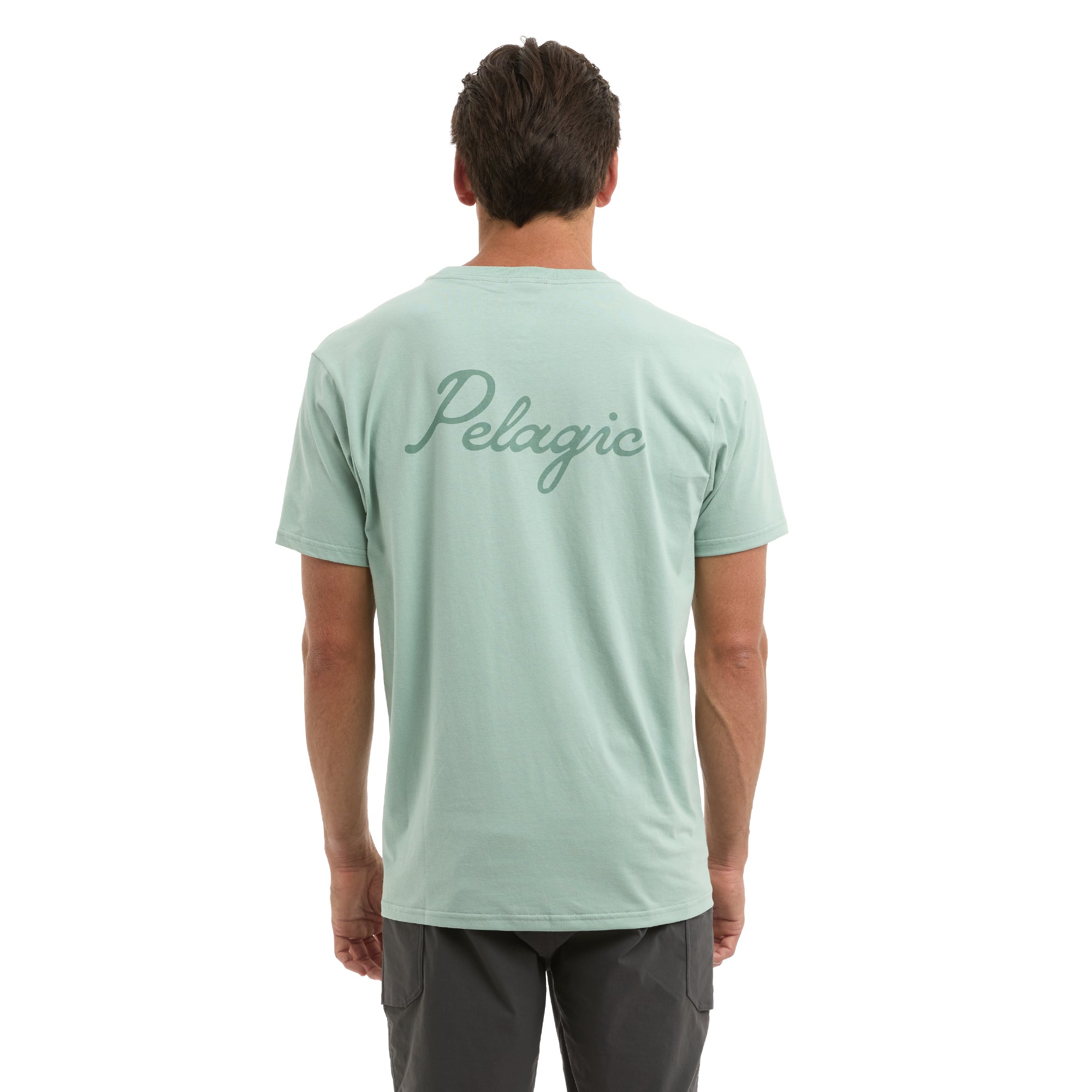 Pelagic Lines In t-shirt uomo salvia cotone