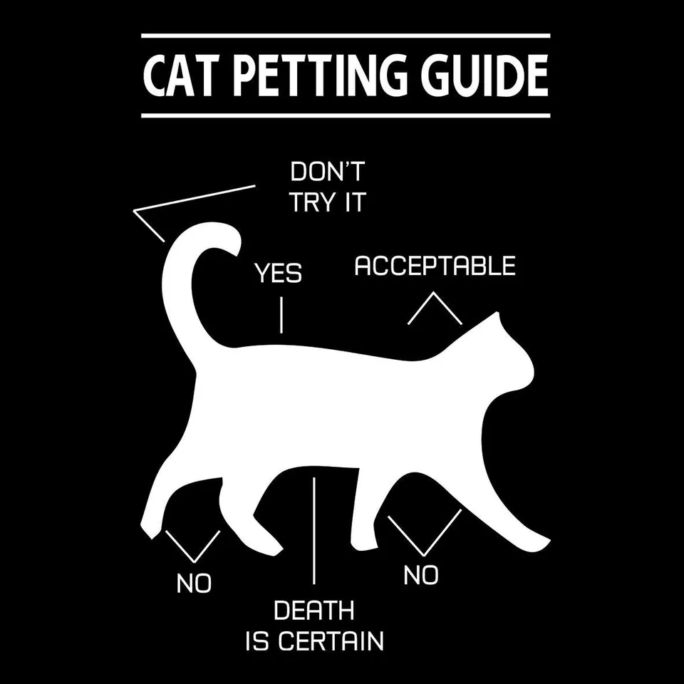 Matrix Music Store Cats Petting Guide t-shirt unisex cotone