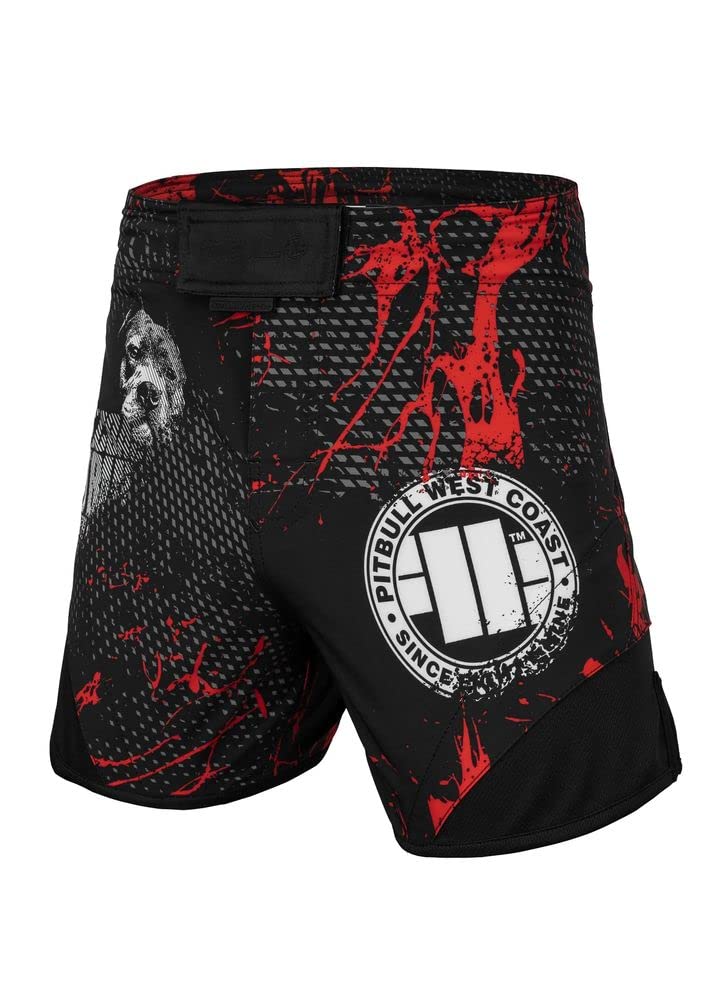 Pitbull Blood Dog II pantaloncini uomo allenamento palestra