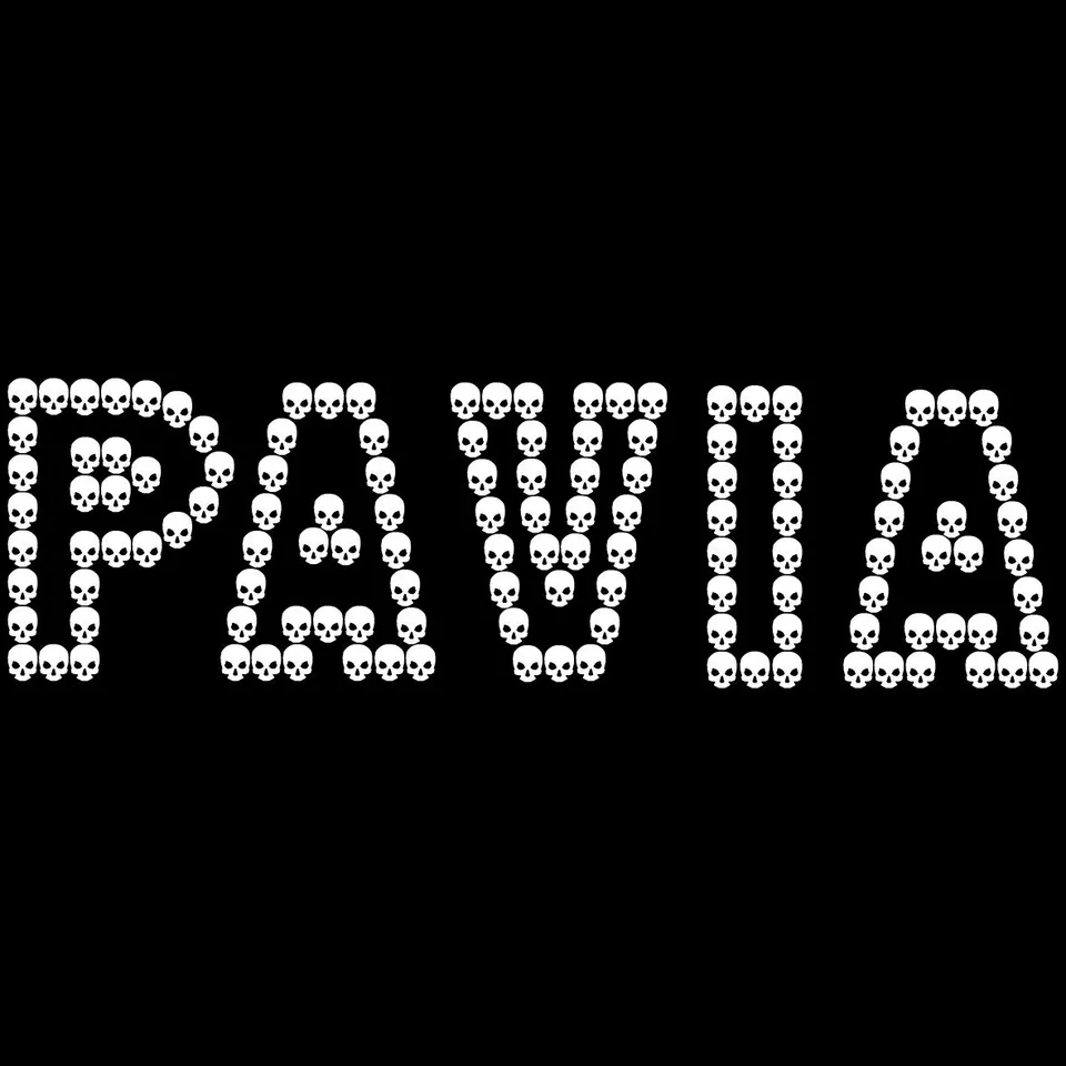 Matrix Music Store Pavia White Skull t-shirt unisex stampa digitale