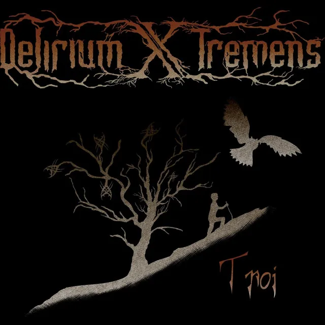Matrix Music Store Delirium X Tremens Troi 2 t-shirt cotone organico