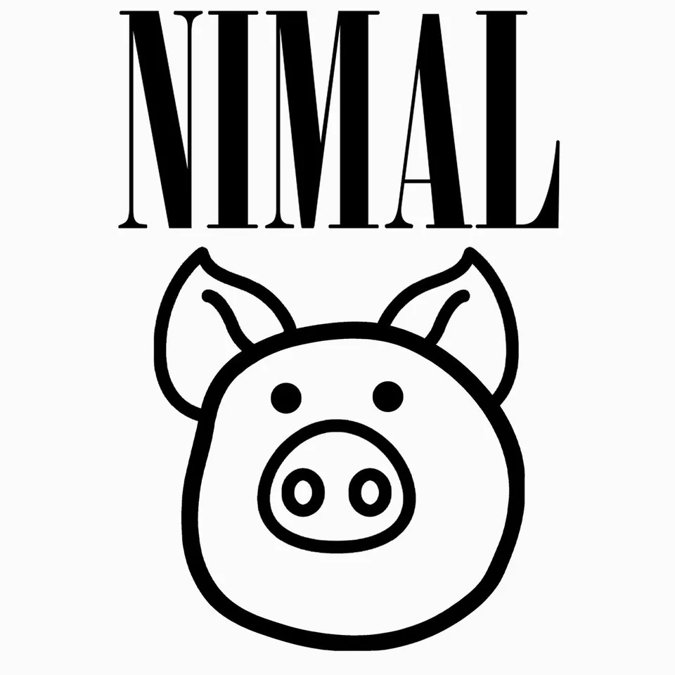 Matrix Music Store Matrix-Tee Rex Nimal T-shirt gialla cotone