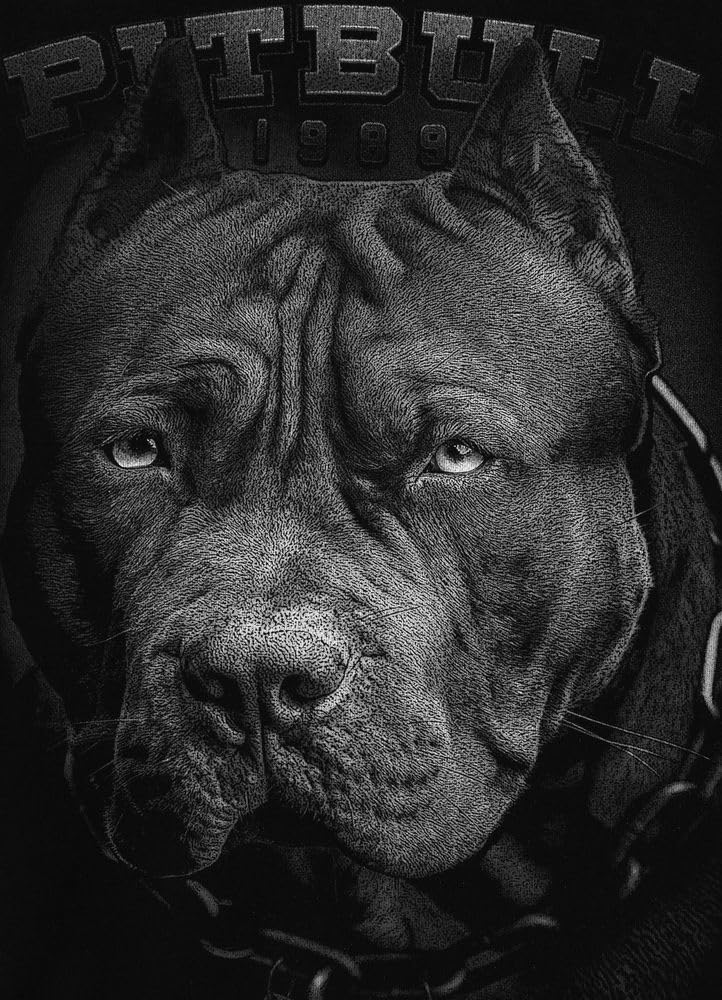 Pitbull Born In 1989 felpa girocollo cotone uomo