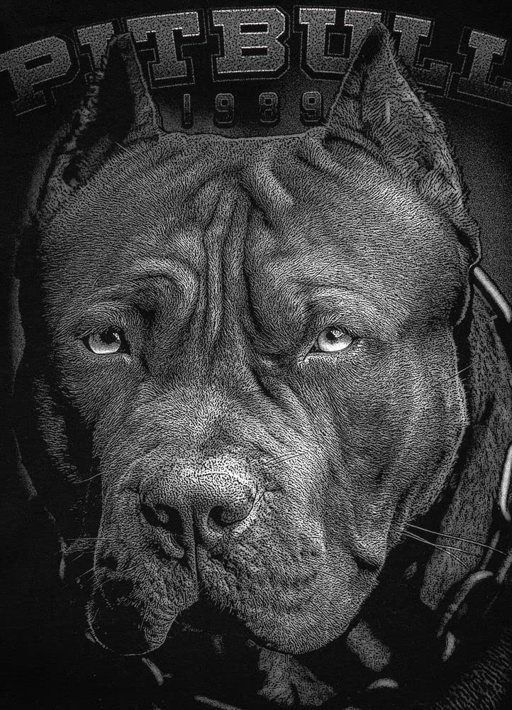 Pitbull Born in 1989 maglietta uomo M cotone