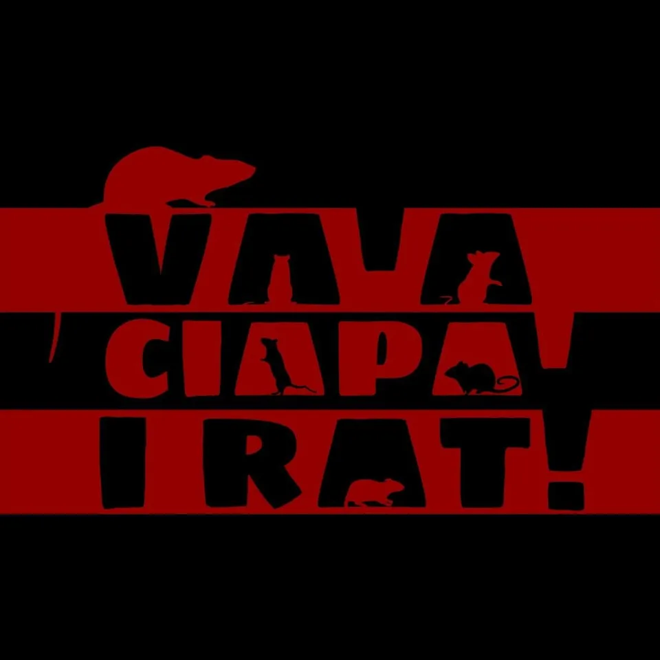 Matrix Music Store M4U Va a Ciapa i Rat t-shirt dialetto